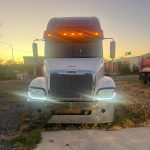 Profile photo of Martin T