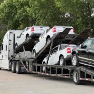 Profile photo of UVM Group LLC