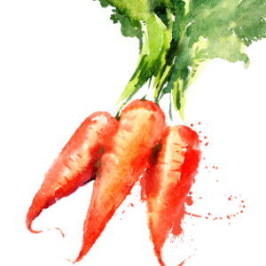 Profile photo of Veritable Vegetable